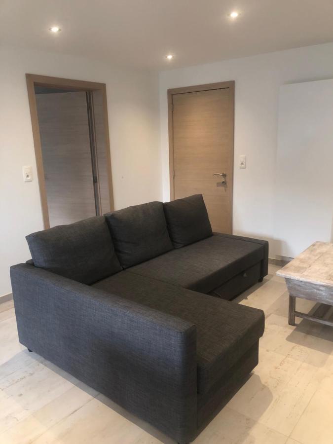 Pegasus I - 2 Chambres De Luxe, Cuisine, Salon, 2 Terrasses Et Sauna Vielsalm Bagian luar foto